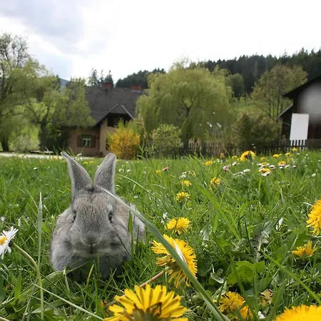 Bauernhof Hoenigshof 3*