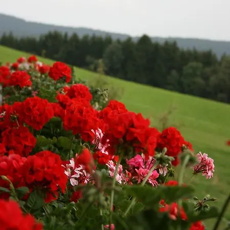 Bauernhof Hoenigshof Guest house