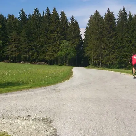 Bauernhof Hoenigshof