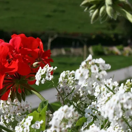 Vendégház Bauernhof Hoenigshof Fischbach
