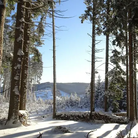 Bauernhof Hoenigshof 3*