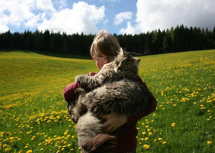 Bauernhof Hoenigshof 3* Fischbach