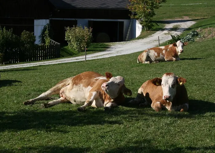 Vendégház Bauernhof Hoenigshof