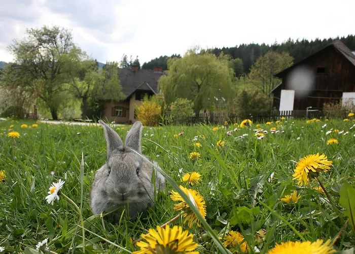 Bauernhof Hoenigshof 3*