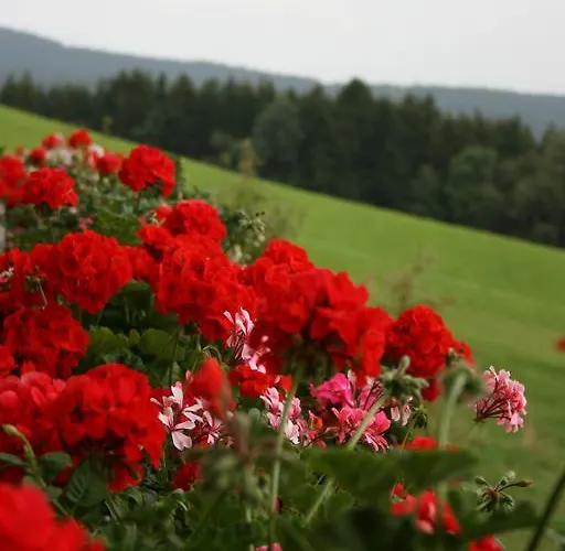Bauernhof Hoenigshof Vendégház
