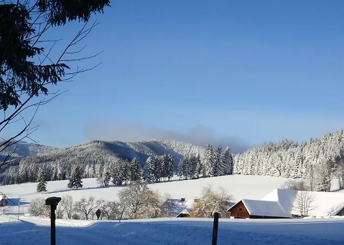 Bauernhof Hoenigshof Fischbach