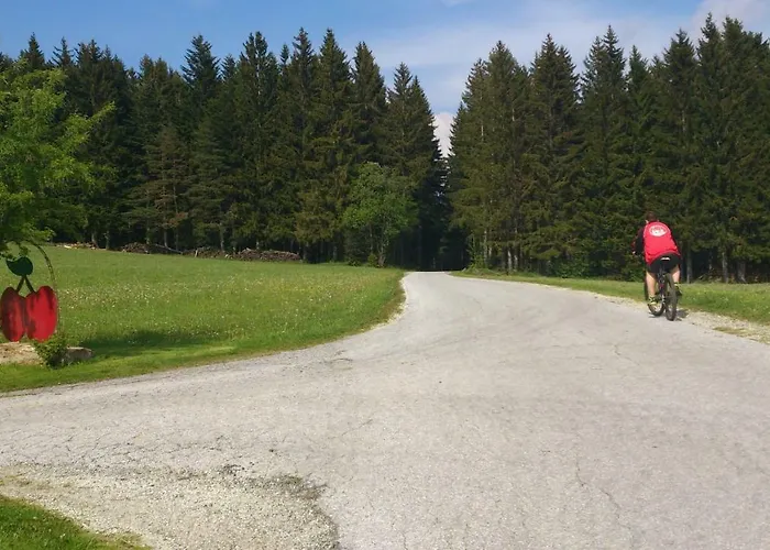 Bauernhof Hoenigshof