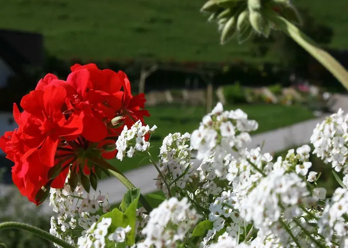 Pensión Bauernhof Hoenigshof Fischbach