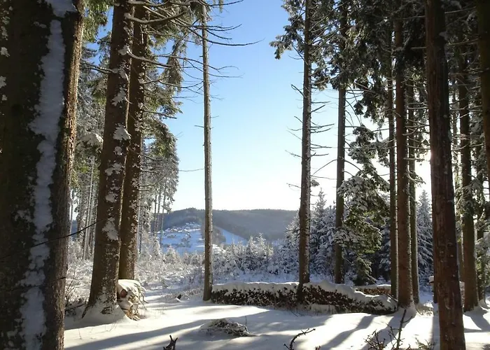 Bauernhof Hoenigshof 3*